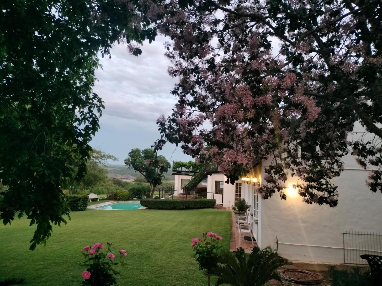 Little Tree Loft 2 Bed & Breakfast Uitenhage Ngoại thất bức ảnh