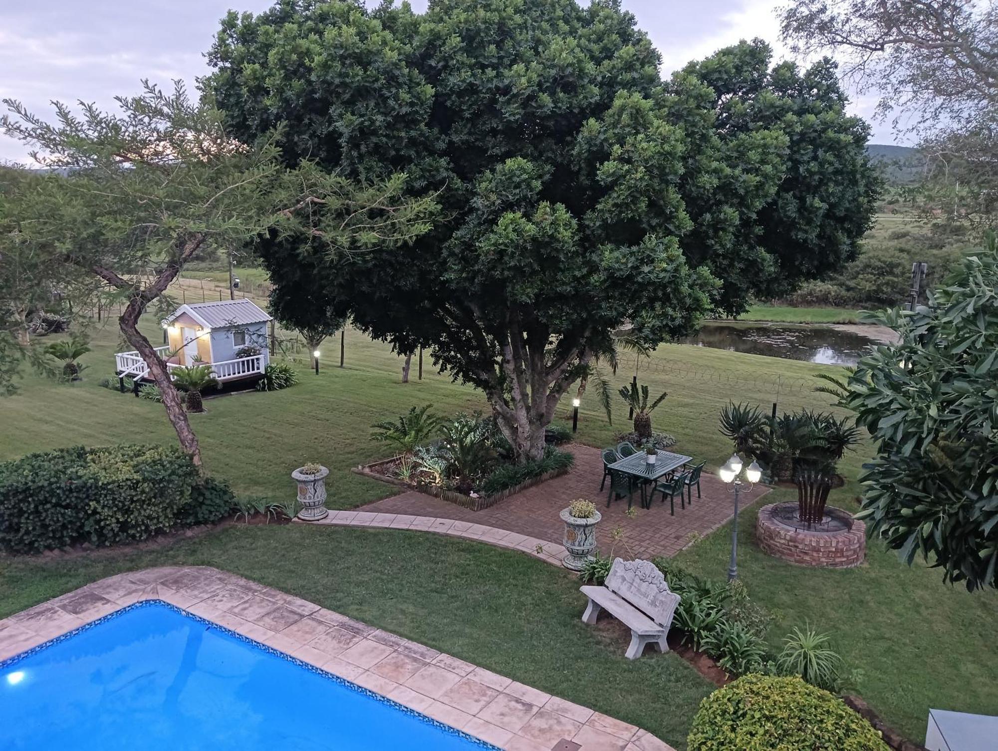 Little Tree Loft 2 Bed & Breakfast Uitenhage Ngoại thất bức ảnh